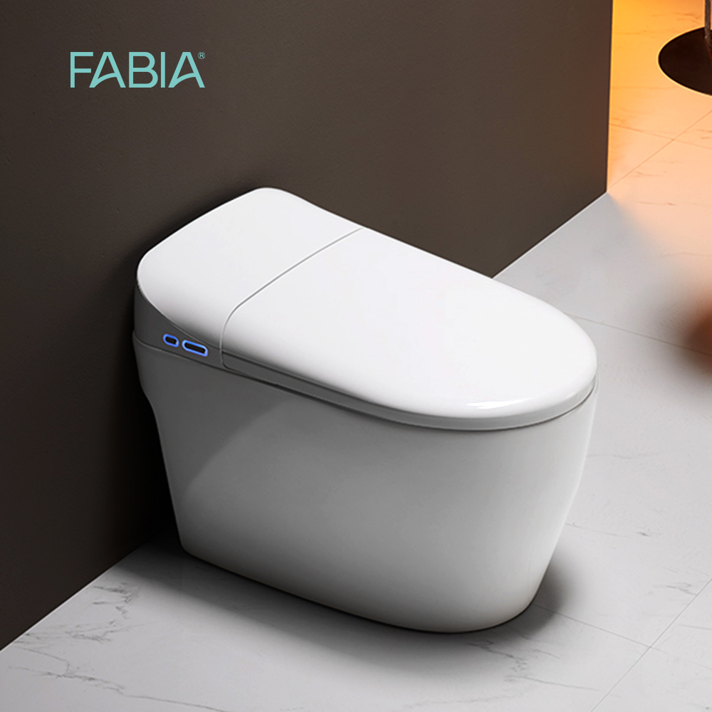 smart bidet toilet