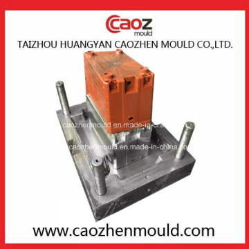 Professionelle Herstellung von Kunststoff Fisch Crate Mould / Mould