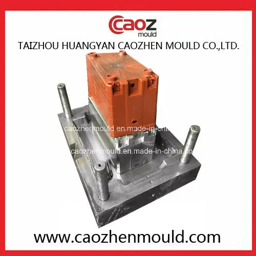 Professional Manufacture of Plastic Fish Crate Mould/Mold