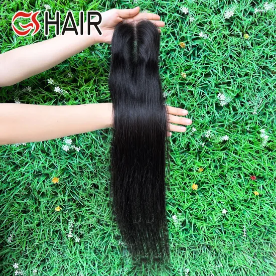 GS Vietnamese Unprocessed Virgin Hair Straight Bundles with 2x6 Inches Lace Closure