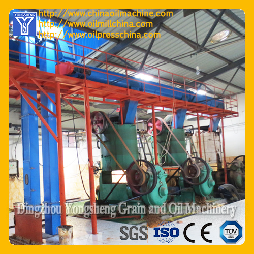 Vegetable Oil Machinery