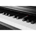 Хенри Хамлин Digtal Piano X3 Multi-Colour Бъдете персонализирани дървени зърно или боядисана повърхност