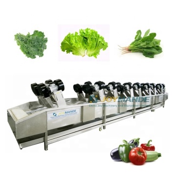 High Quality Industrial Lettuce and Coriander Drying Machines