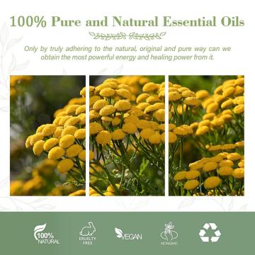 Hot Sale High Quality Blue Tansy Oil For Aromatherapy Oil