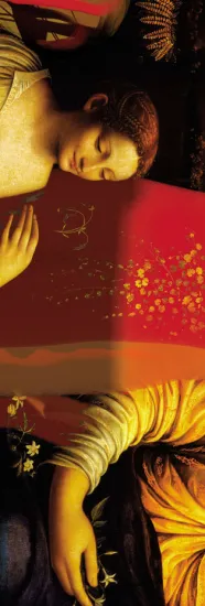 Ladies fashion pure silk georgette long scarf