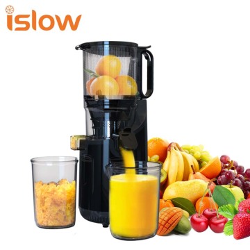 200W Elektrikpresse Juicer: Kaltpresse Slow Juicer Extraktor