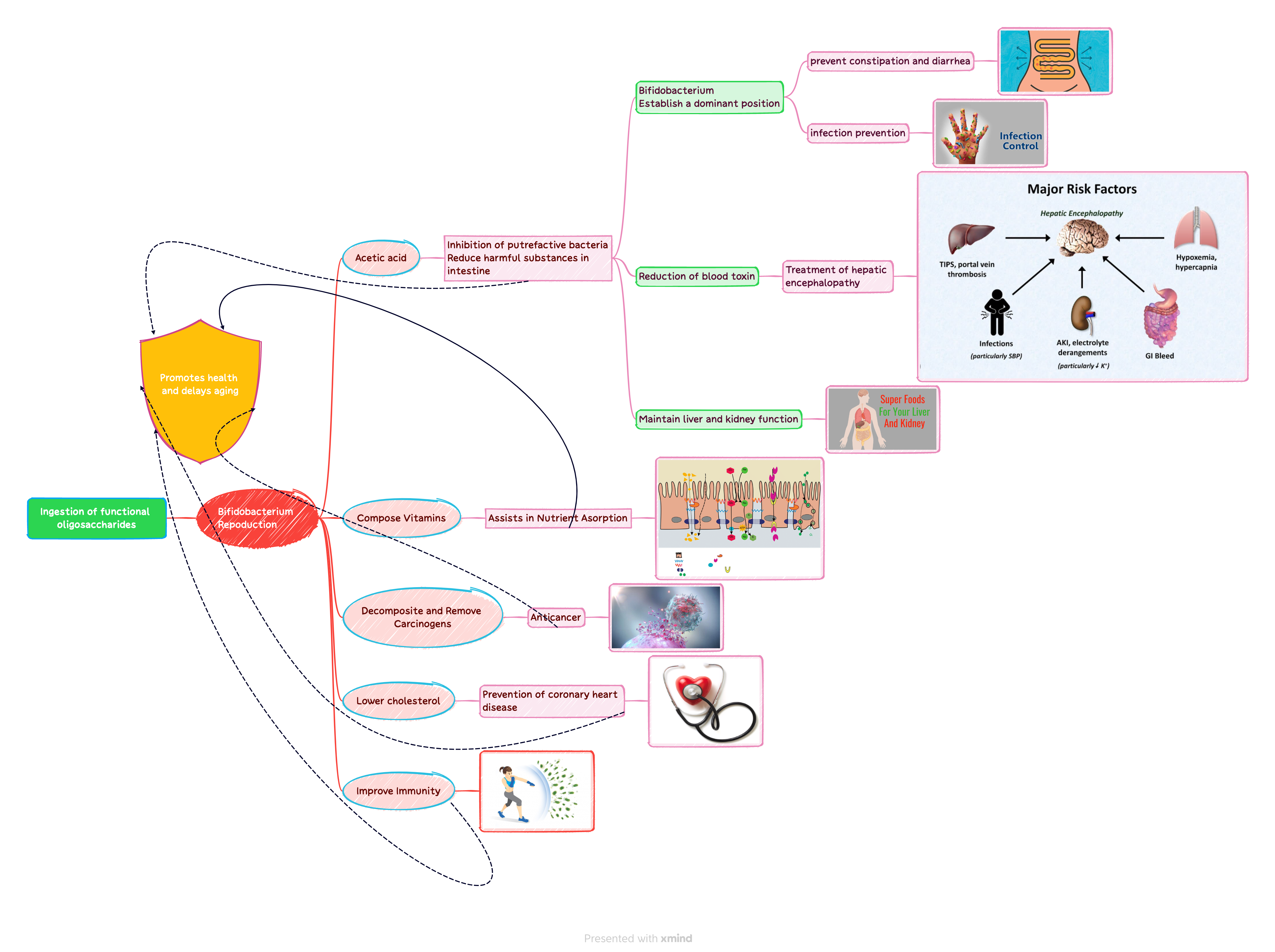 Imo Ingestion Of Functional Oligosaccharides