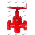 3 1/8 '' 5000PSI FC Manual Gate Válvula