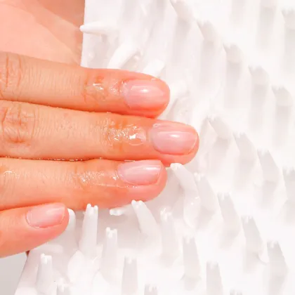 Portable Dog Paw Cleaner - The King Quantity Dog Foot Cleaner Cup