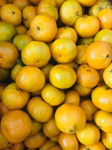 Harga borong mandarin segar dengan kualiti yang baik