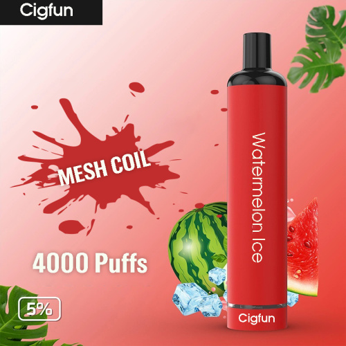 Wholesale Disposable Vape 5000 Puffs