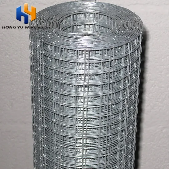 10x10 bird aviary welded wire mesh cage
