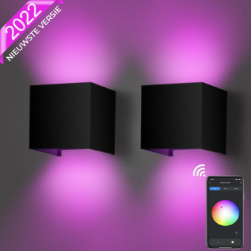 Smart Wall Light: RGB Voice Adjustable Outdoor Garden Night LED Lamp (Tuya Compatible)