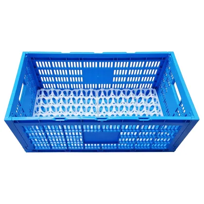 30-Egg Reusable Plastic Incubator and Egg Tray for Chicken Eggs