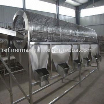 Strawberry classifier