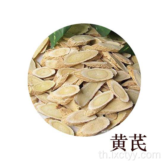 รากชา astragalus membranaceus