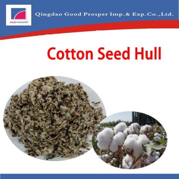 Cotton Seed Hull