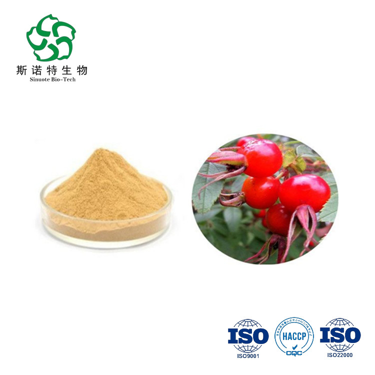 Rose Hip Extract