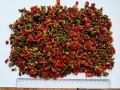 αφυδατωμένη κόκκινη και πράσινη πιπεριά ανάμεικτη