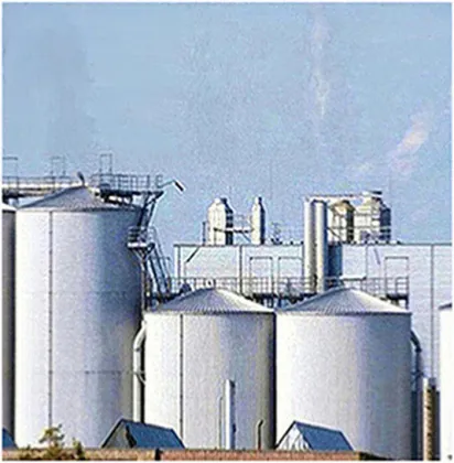 Pure Natrual Goji Barbury Wolfberry fruit P.E wolfberry