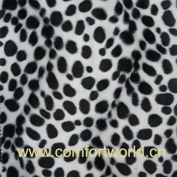 Print Fabric