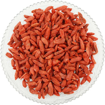 Do Promotion Ningxia Goji berry 370pcs/50g