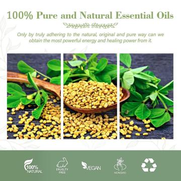 Wholesale Price 100% Pure Fenugreek Seed Oil Organic Fenugreek Oil Fenugreek Essential Oil