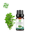 Factory supply 100% pure Marjoram Essential Oil