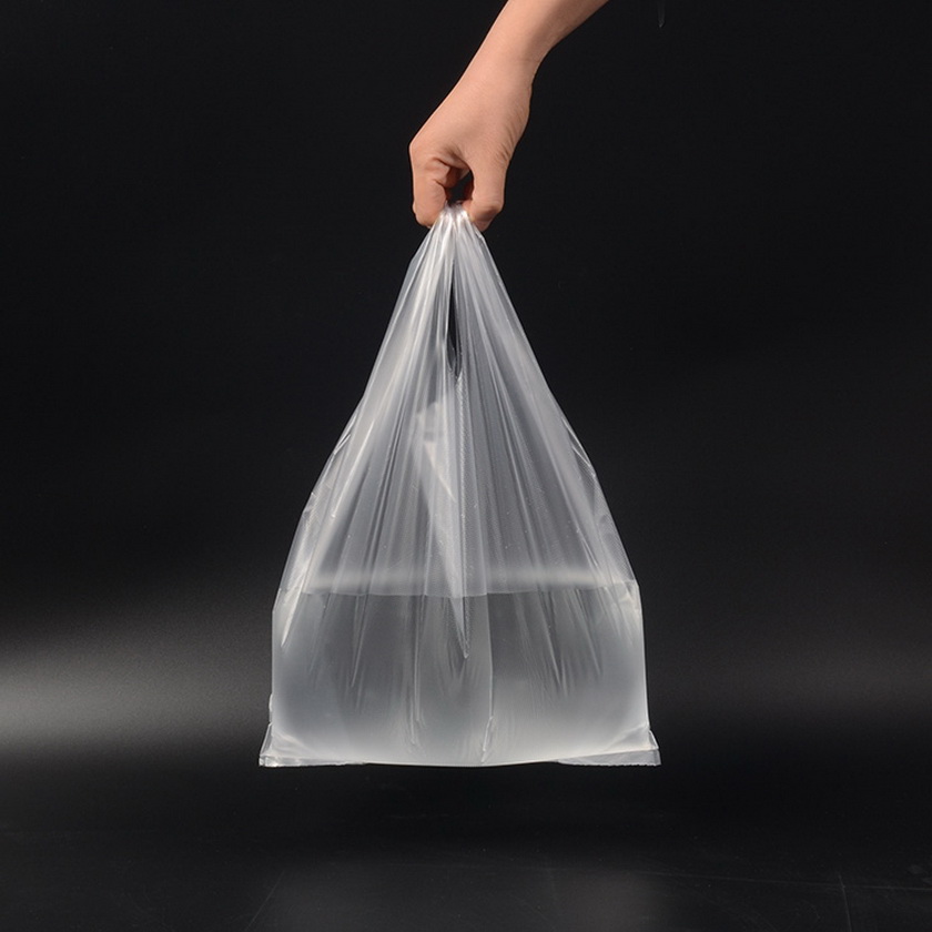Eco Bag Packaging