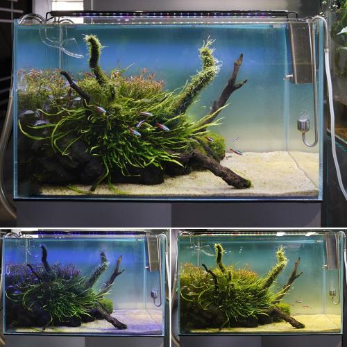 Lâmpada de peixe aquário de espectro completo