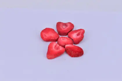Dog's Favorite Fresh Freeze Dried Treats