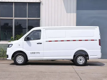 EU Certified Wanxiang T01 Logistics Van for New Energy Cargo Transport