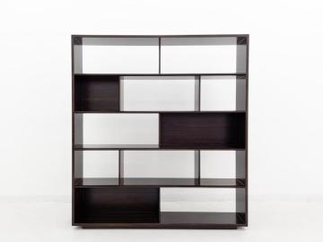 Modern style Bookcase