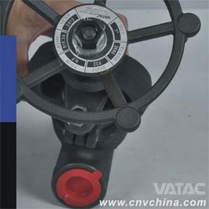Y Type Forged Globe Valve (J61)