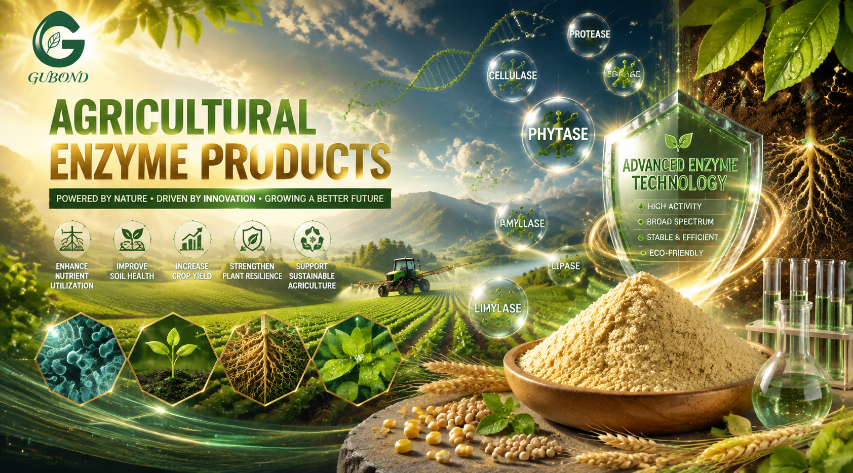 Agricultural enzyme products