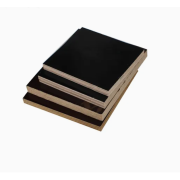 Eucalyptus Plywood Film Faced Board