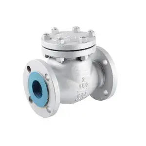 Flanged Swing Bolted Cover Check Valve