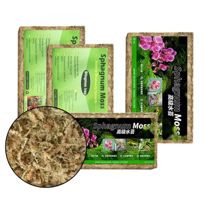 OEM Custom 5KG Phalaenopsis Dendrobium officinale Gardening Materials - Sphagnum Moss for Plant Export