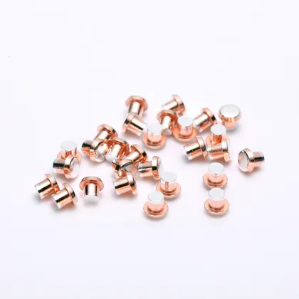 High Quality Relay Electrical Contact Rivets - Trimetal Silver Contact Rivets for Automotive Electric Appliances
