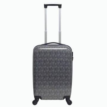 Cabin size hardshell luggage with special design