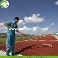 Factory Supply Fruit Bulk Fiyat Goji Berry