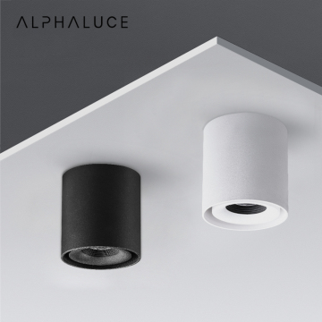 Nordic Creative Adjustable Dimmable DED plafond