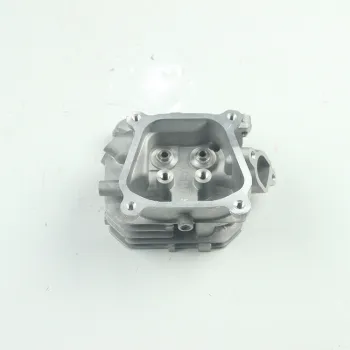 GX160 168F Newland Parts Cylinder Head Assy for Generator