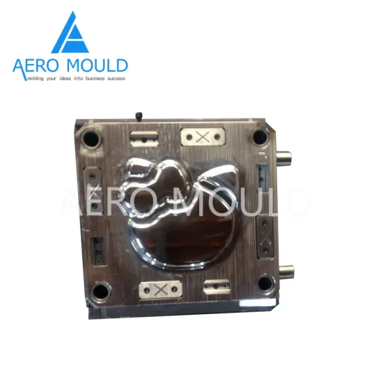 Taizhou huangyan double color feeding plate mould