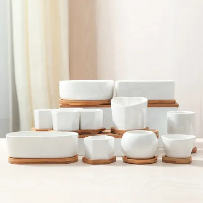 Ceramic Cactus Flower Pot with Bamboo Tray