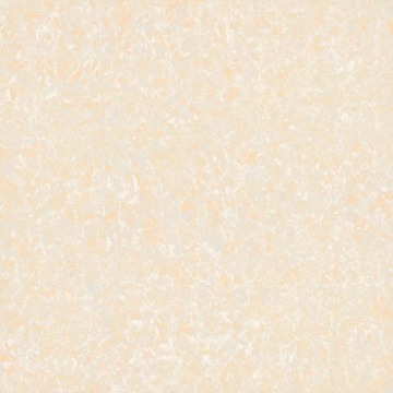 Beige Pilates Polished Porcelain Tile