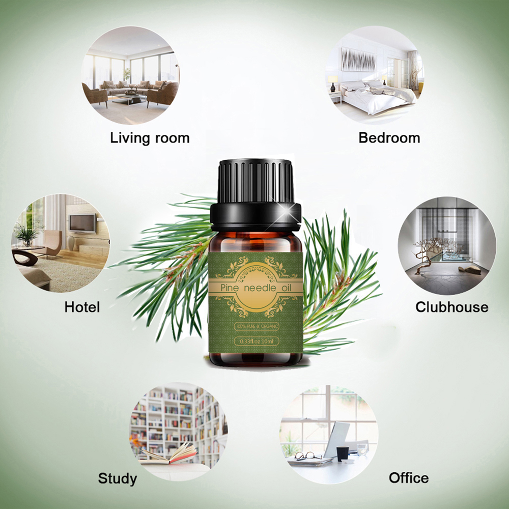 Bulk Pine needle essential oil for body care