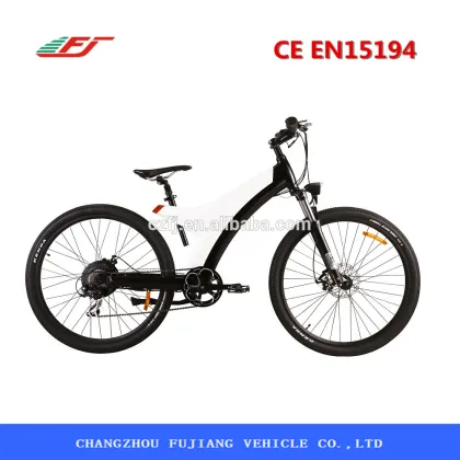 29"electric bicycle electric bicycle motor electric bicycle china with CE EN15194