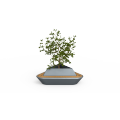 Square greenery seating area