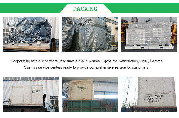 Oxygen Generator Packing Oxygen Generator Packing